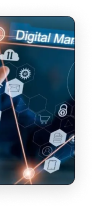 image-left-3